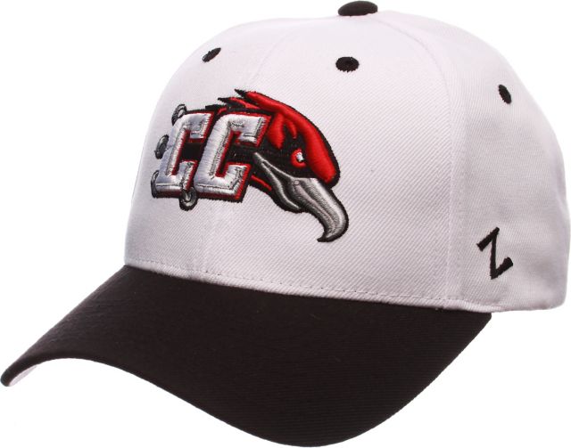 Casper College Thunderbirds Performance Adjustable Cap