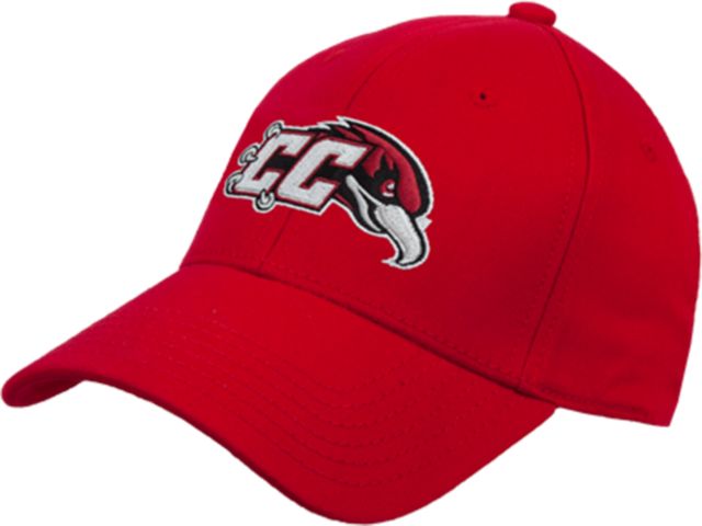 Casper Structured Adjustable Pro Style Hat CC with Thunderbird - ONLINE ONLY