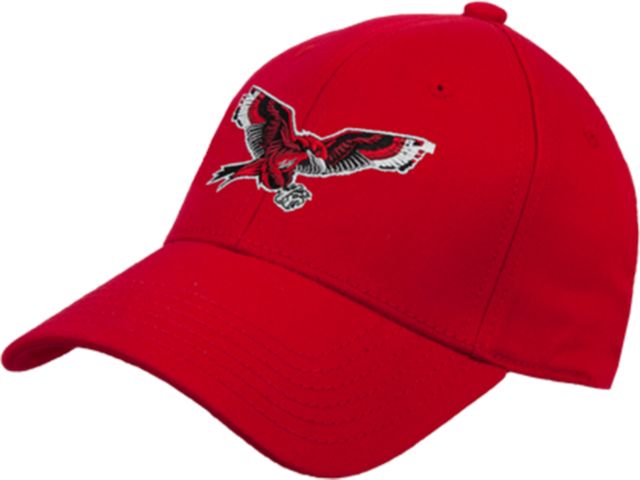 Casper Structured Adjustable Pro Style Hat Thunderbird - ONLINE ONLY