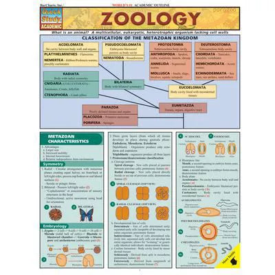Zoology Barchart - New (SKU: 855907)